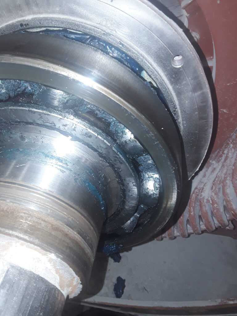 Contaminated Bearing